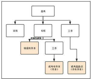 统招专升本2.png